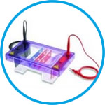 Gel electrophoresis tank MultiSUB Midi