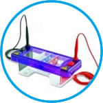 Gel electrophoresis tank MultiSUB Mini DUO