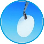 Nuclepore® membrane filter, PC