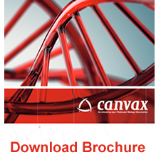 Canvax Molecular Cell Biology