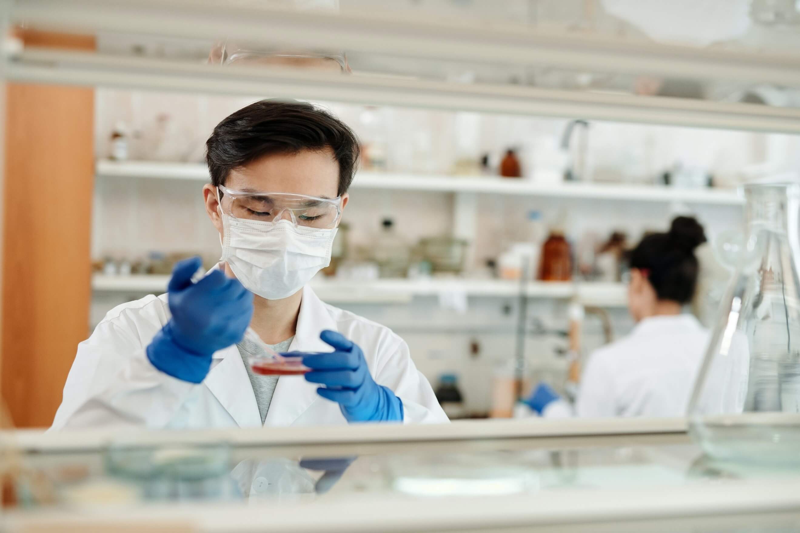 Cell Cultures