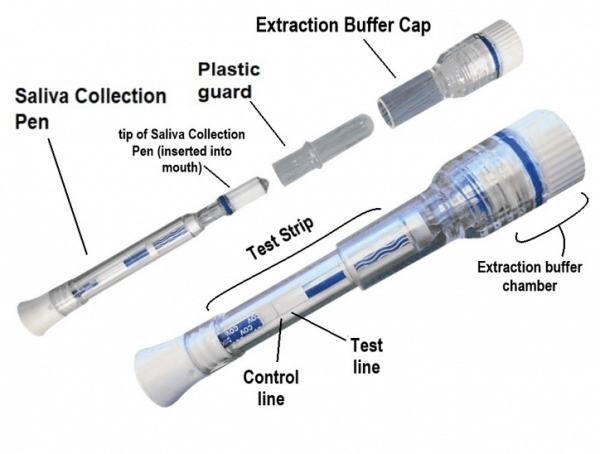 Rapid Antigen Test