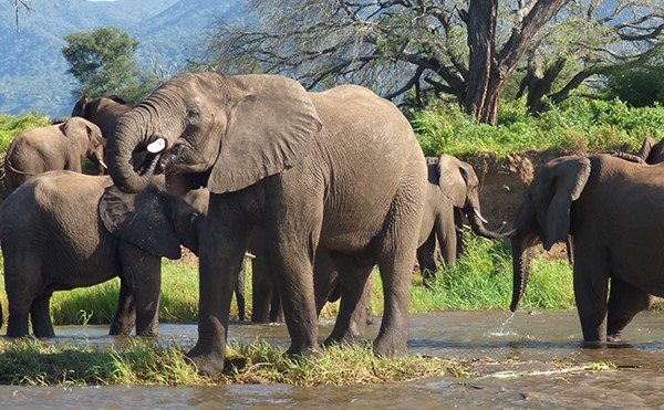 Monitoring water quality of zambezi river YSI EXO2